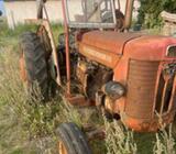 Massey Ferguson, 65