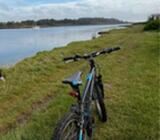 Drengecykel, mountainbike, Everton