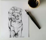 Dotwork illustration, Noah Falke, motiv: Kat