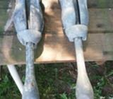 2 stk. 8kg folde anker 175 kr. pr. stk eller be