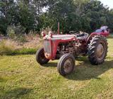 Traktor, Massey Ferguson 35 benzin